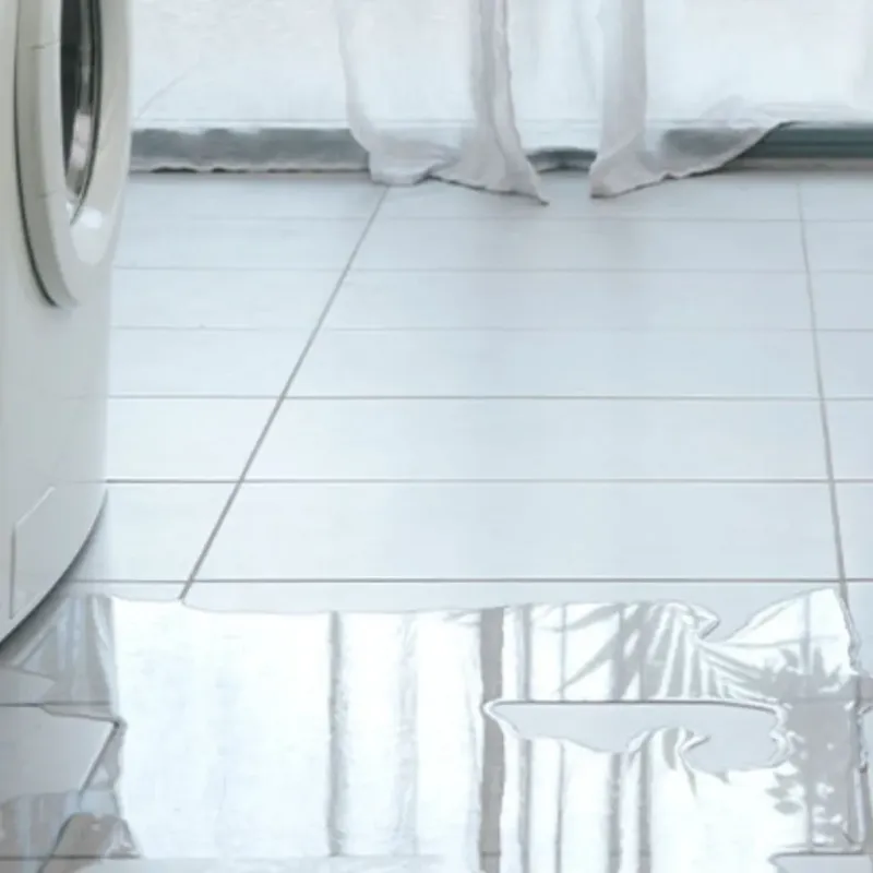 Appliance Leak Cleanup in Arthur, IL