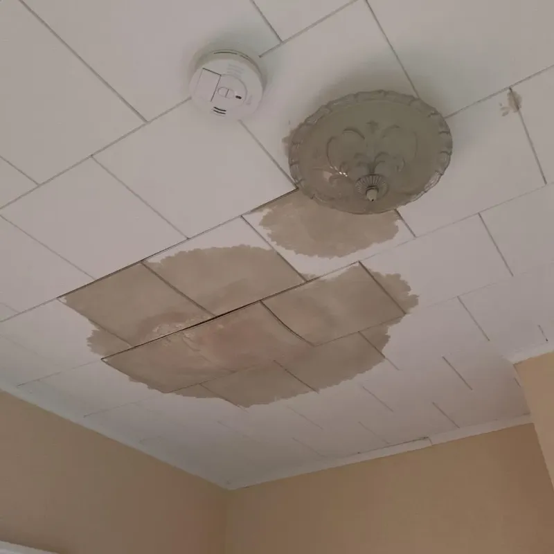 Ceiling Water Damage Repair in Arthur, IL