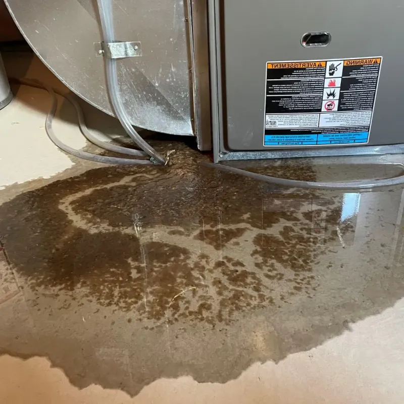Pipe Burst and Leak Restoration in Arthur, IL